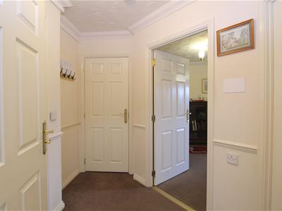 Picture 5